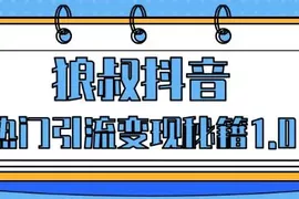 狼叔抖音热门引流变现秘籍1.0